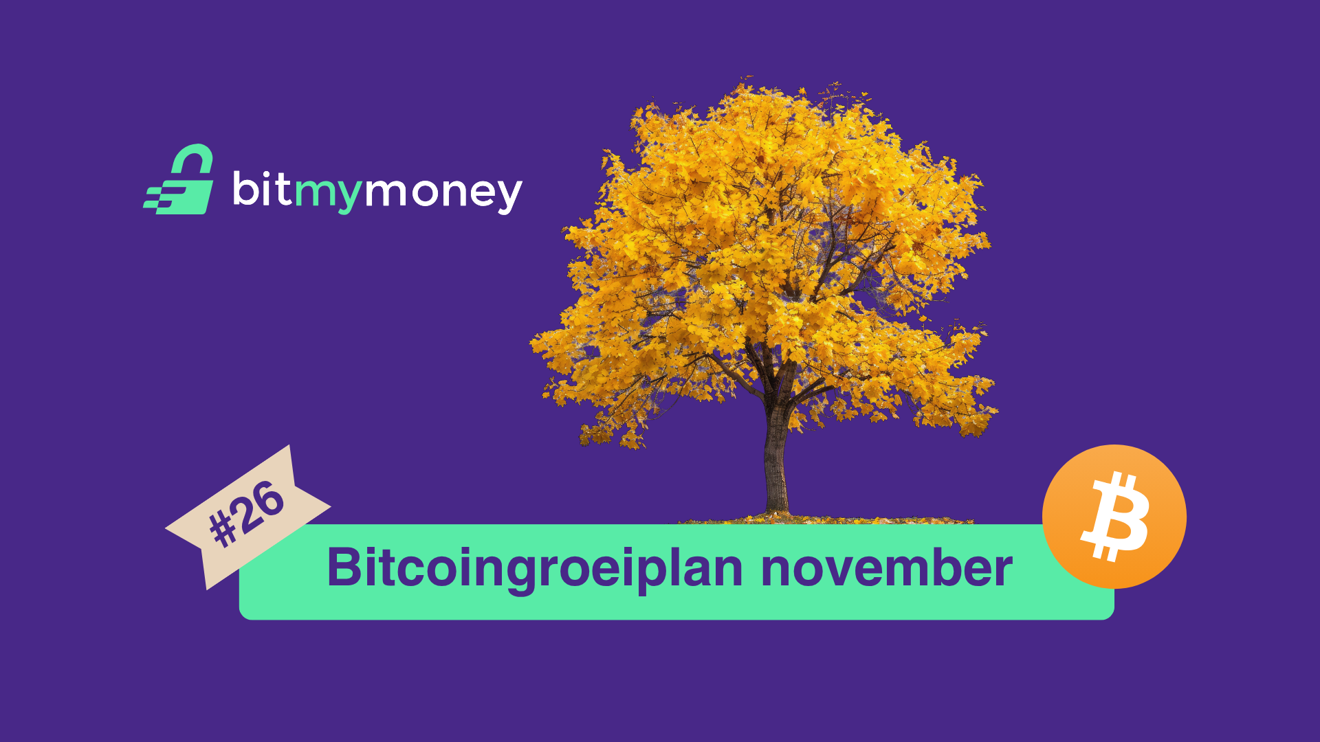 Satoshi's rekening: Corrigerende koers