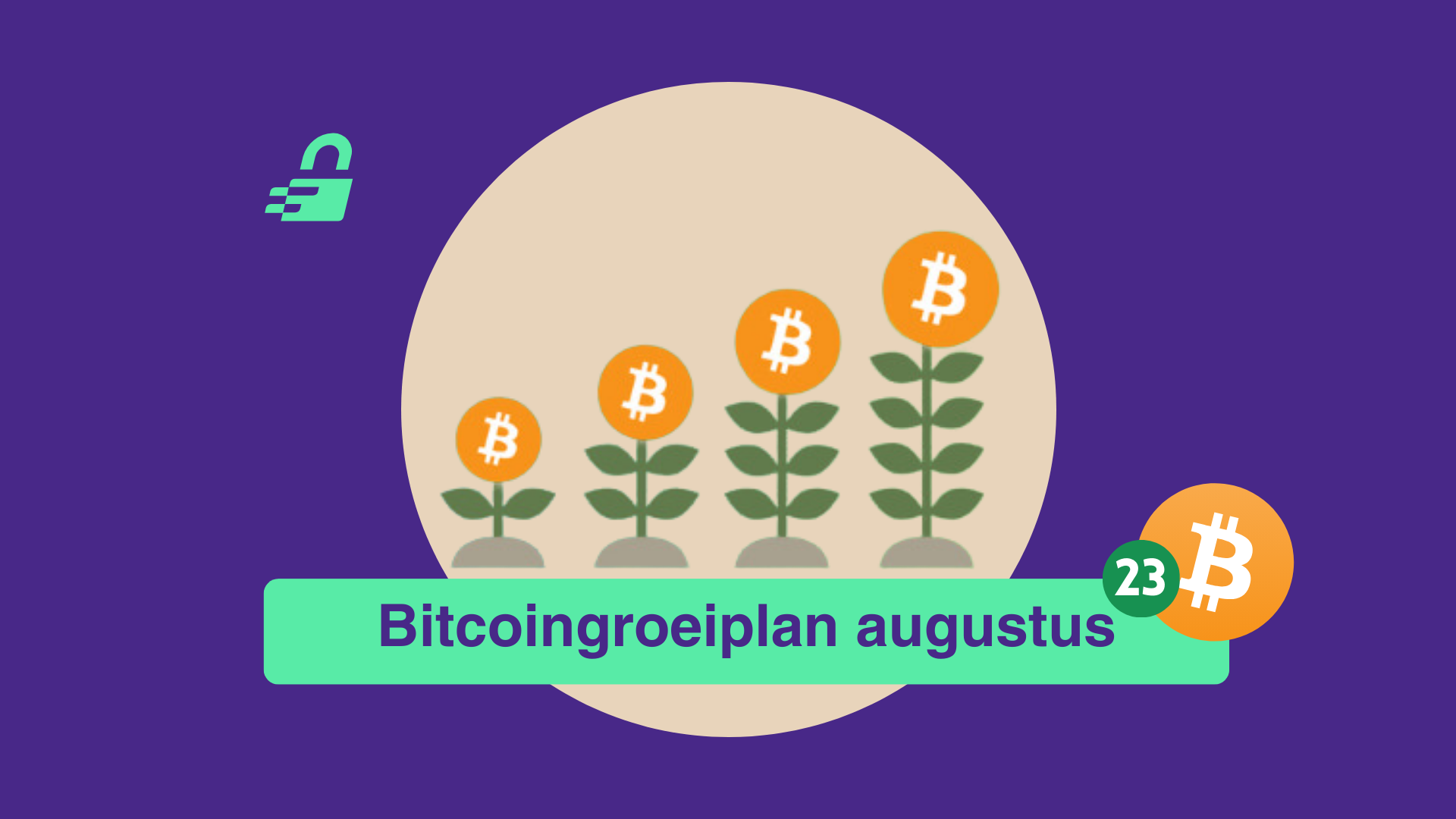 Satoshi's rekening: Stabiele zomer