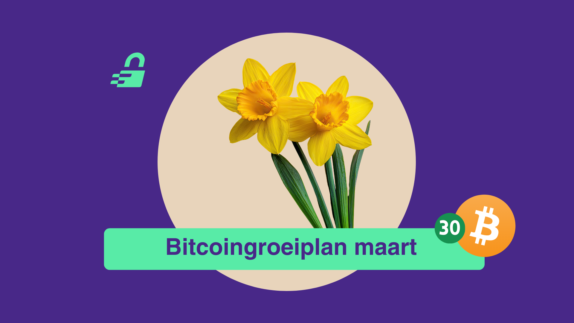 Satoshi's rekening: Rust op de markt, focus op de toekomst