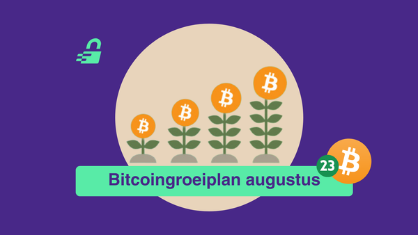 Satoshi's rekening: Stabiele zomer