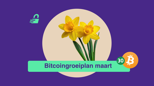 Satoshi's rekening: Rust op de markt, focus op de toekomst